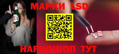 прущие грибы Краснодар