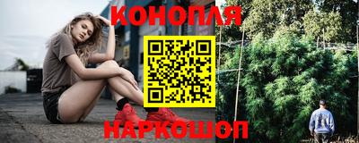 прущие грибы Краснодар