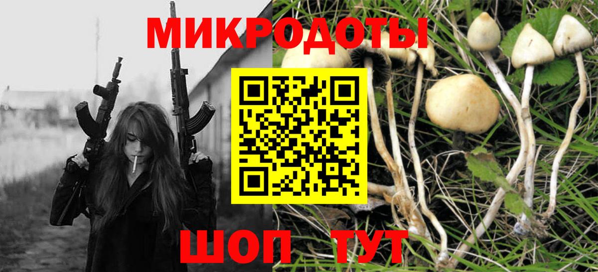 Галлюциногенные грибы Magic Shrooms Каменск-Уральский