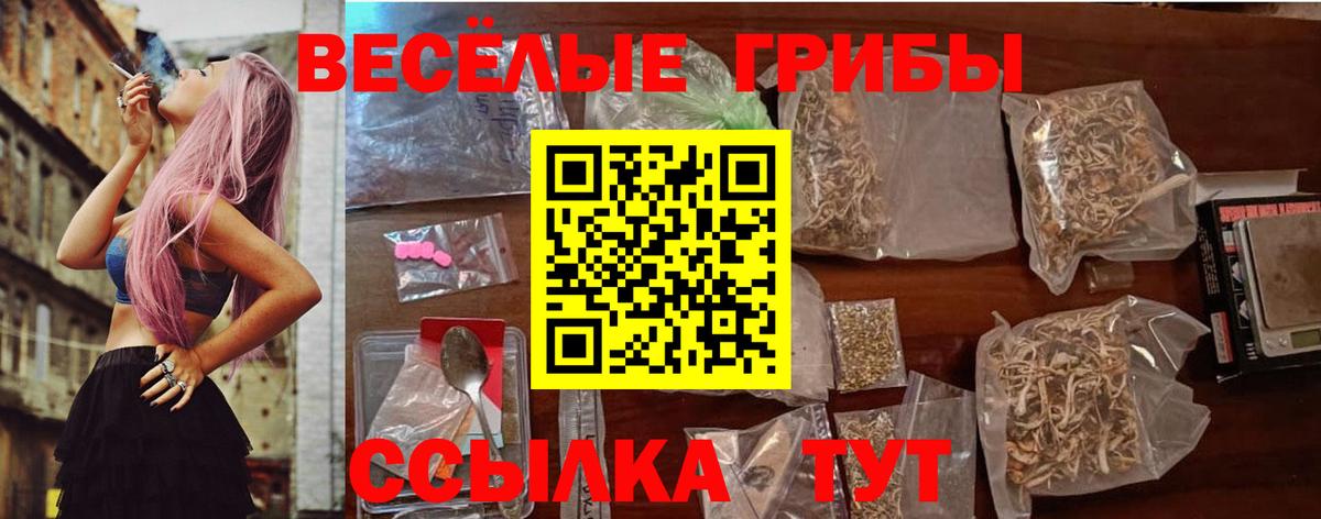 Каменск-Уральский  Псилоцибиновые грибы мухоморы  Вход с VPN 